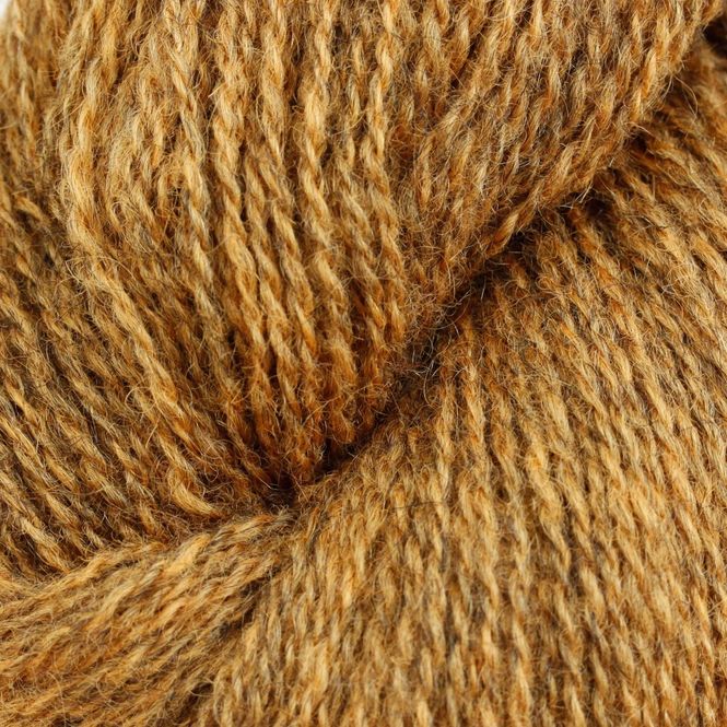 Hovedbilde Tinde - rødgul